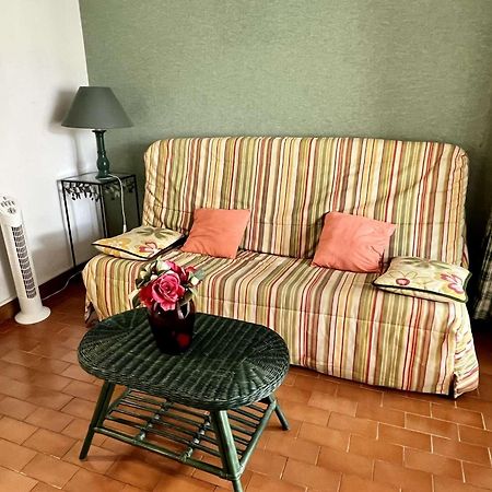 Studio A Argeles-Sur-Mer, 400M De La Plage Et Proche Commerces, Loggia, Animaux Bienvenus, Menage Inclus - Fr-1-225-548 エクステリア 写真